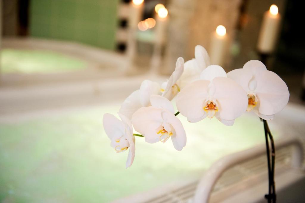 Ringhotel Vitalhotel Ambiente Bad Wilsnack Exteriör bild